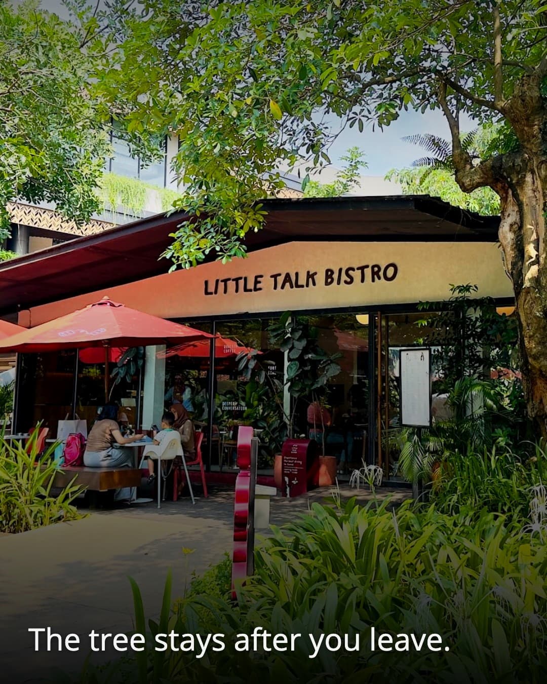 Little Talk Bistro entrance tree