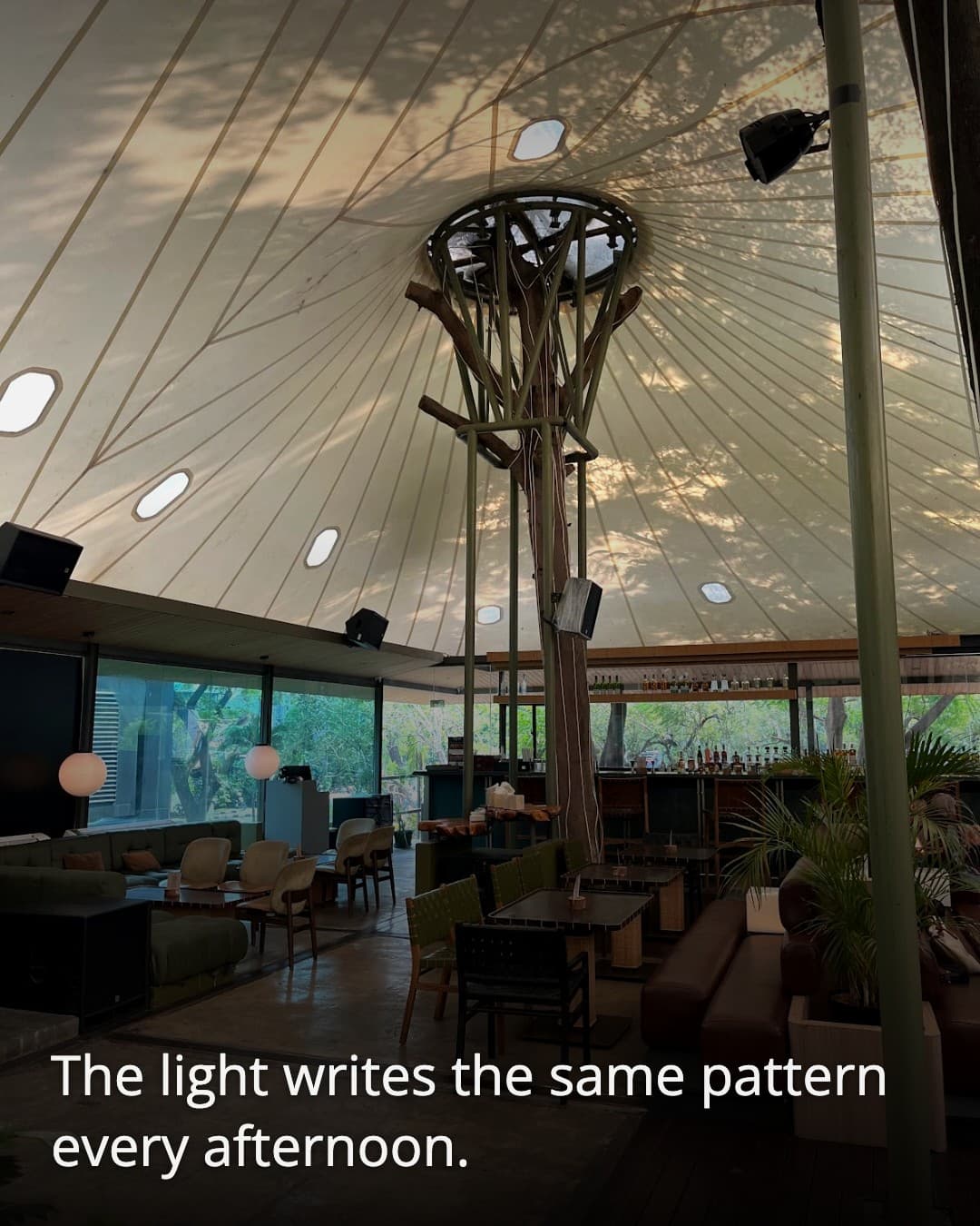 Stalk Jakarta ceiling light