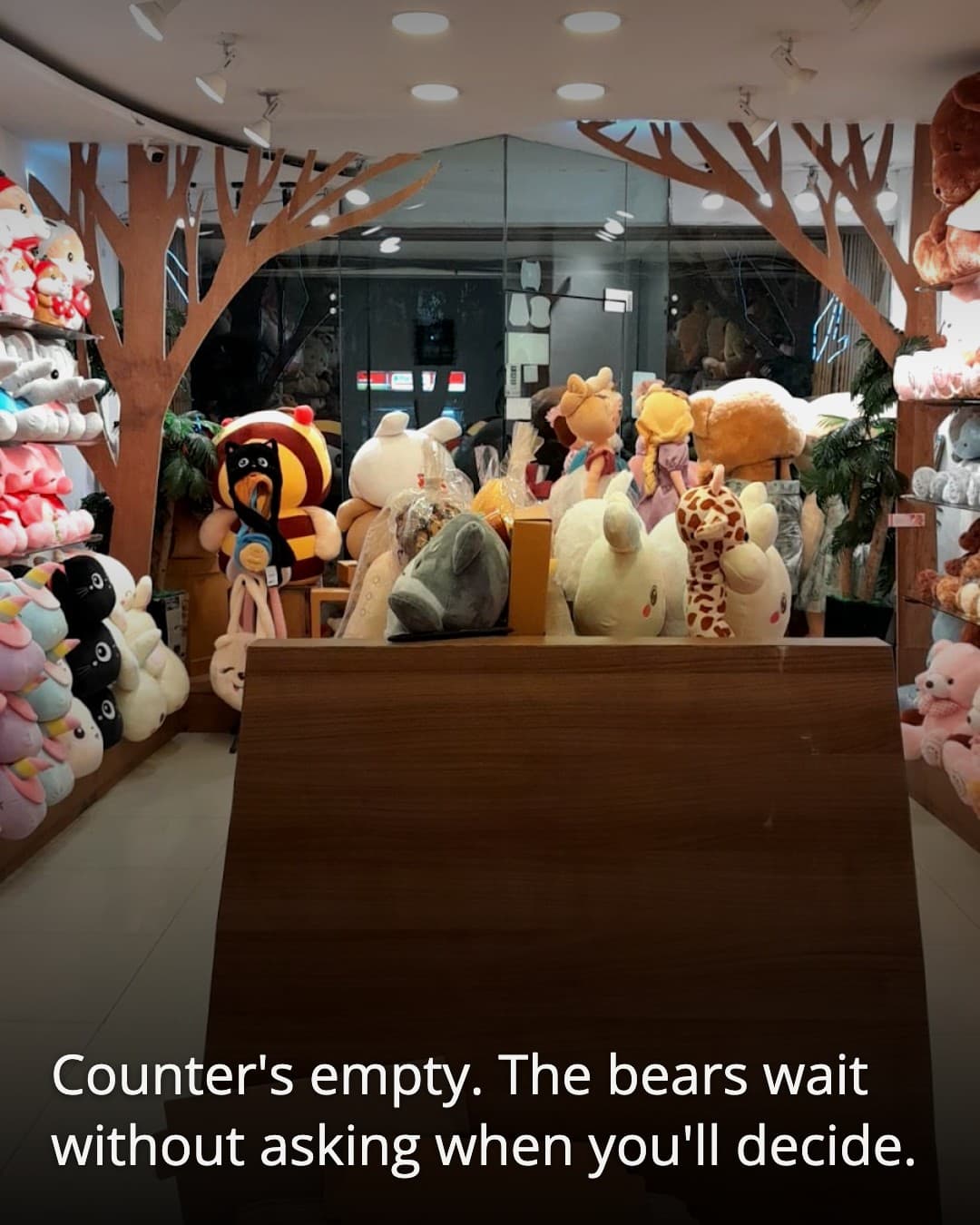 Isbon empty counter with giant bears