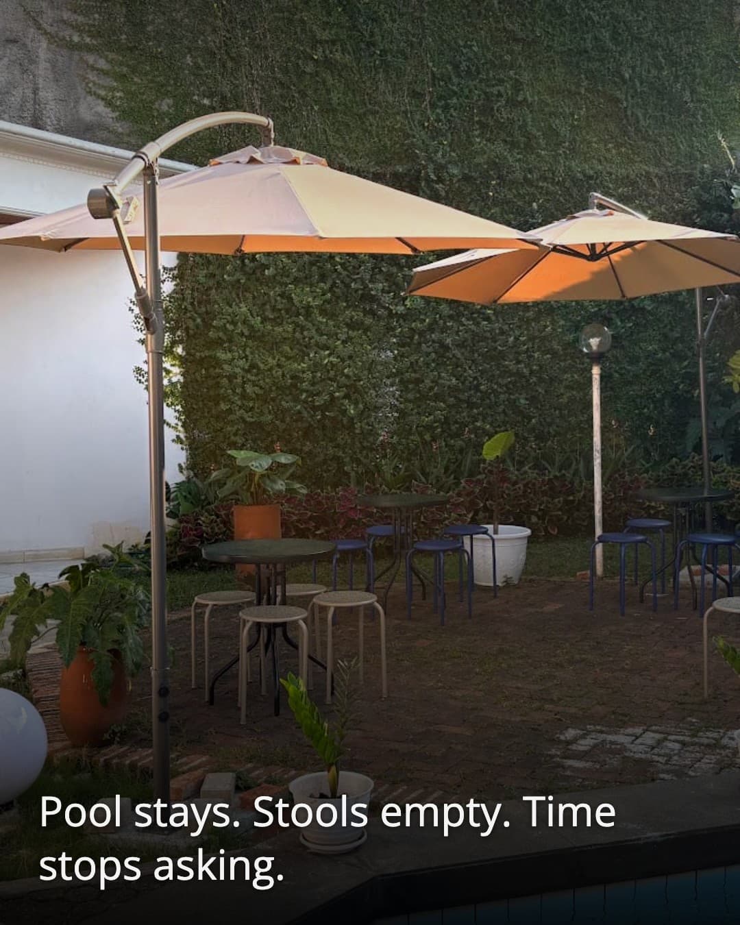 Daily Blend Coffee Cipete pool seating