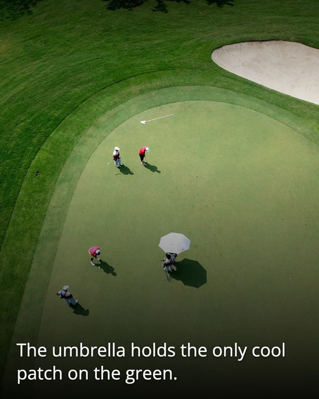 Pondok Indah Golf Club House green