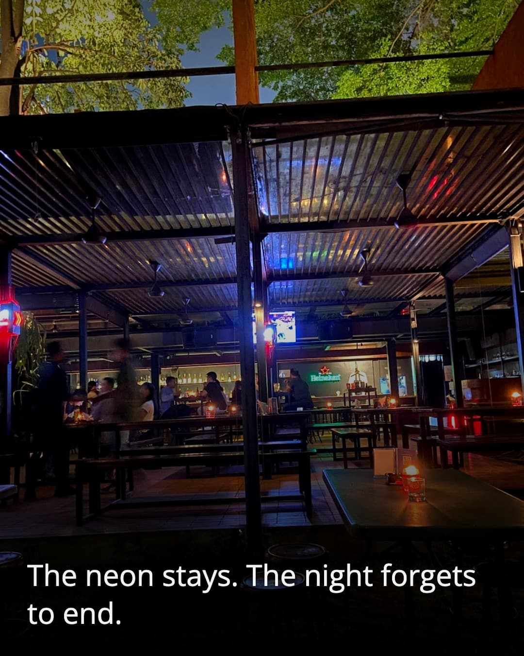 Beer Garden+ night neon